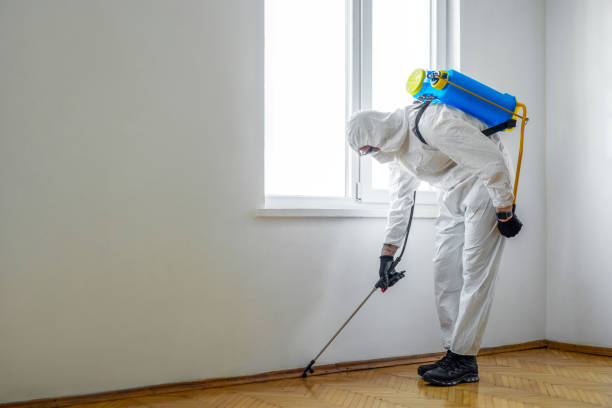 Best Pest Control for Multi-Family Homes  in Albion, NY